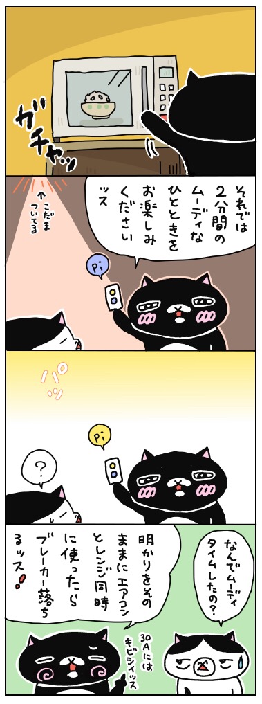 年の差猫夫婦マンガ