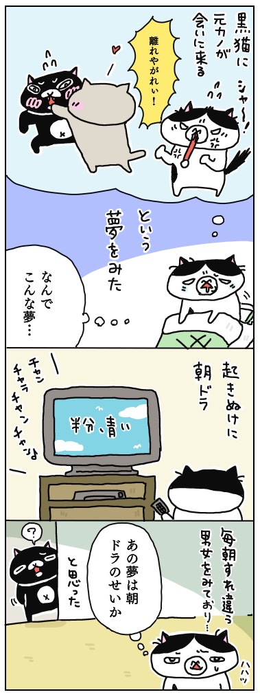 年の差猫夫婦マンガ