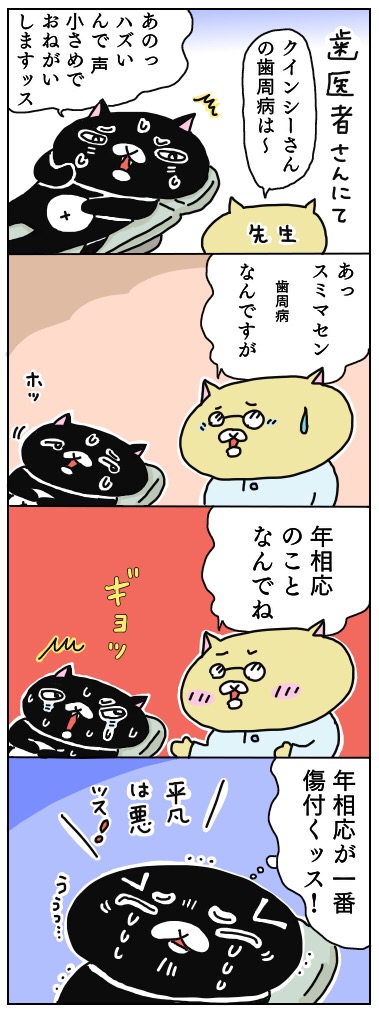 年の差猫夫婦マンガ