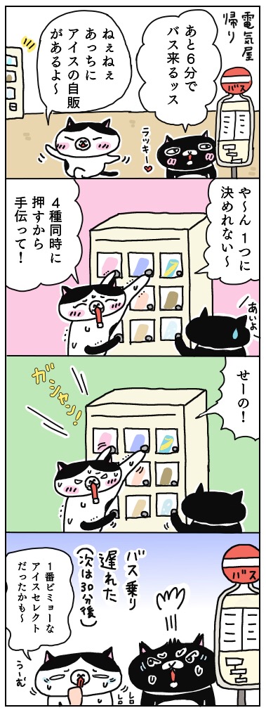 年の差猫夫婦マンガ