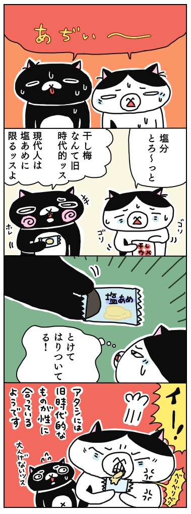 年の差猫夫婦マンガ