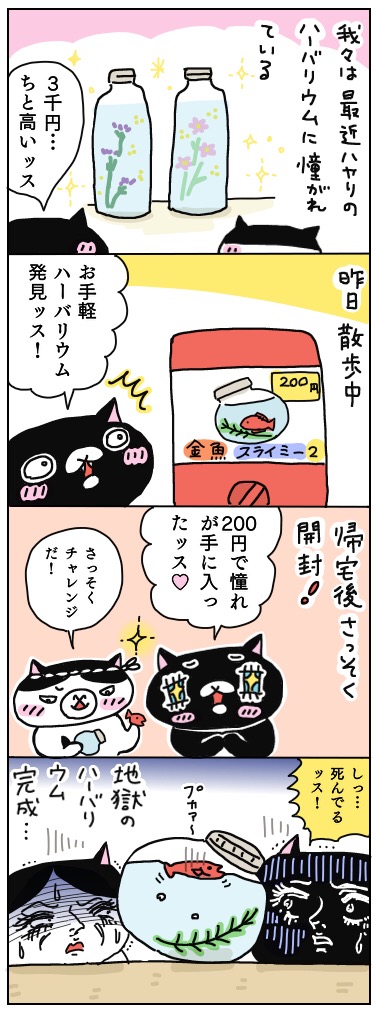 年の差猫夫婦マンガ