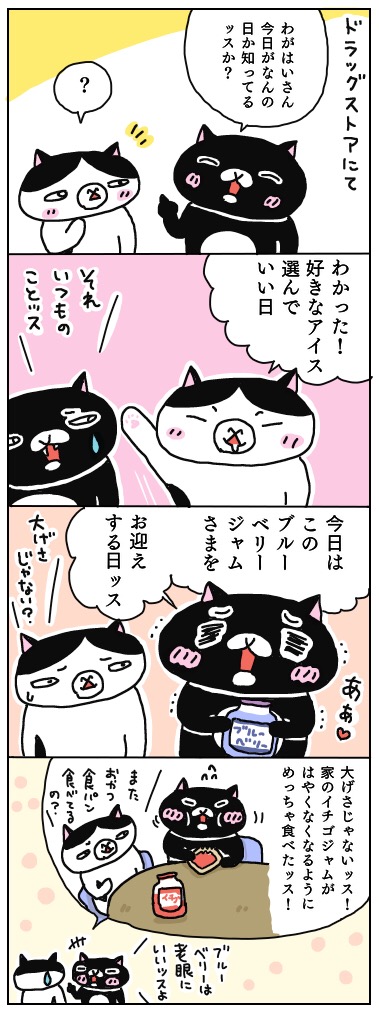 年の差猫夫婦マンガ