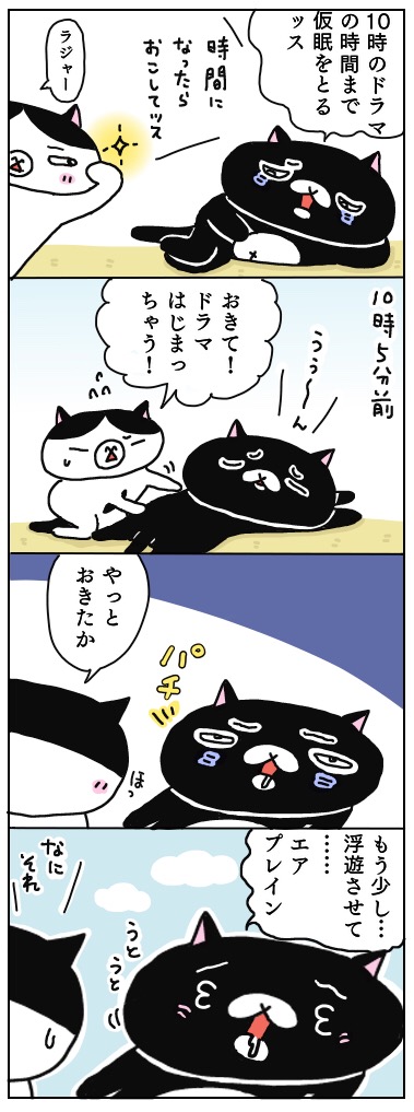 年の差猫夫婦マンガ