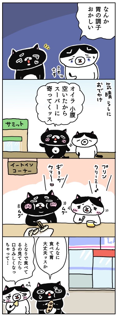 年の差猫夫婦マンガ