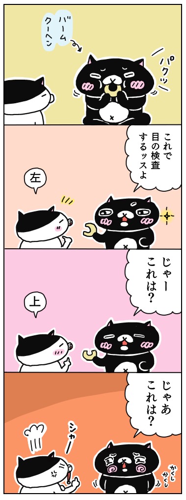 年の差猫夫婦マンガ