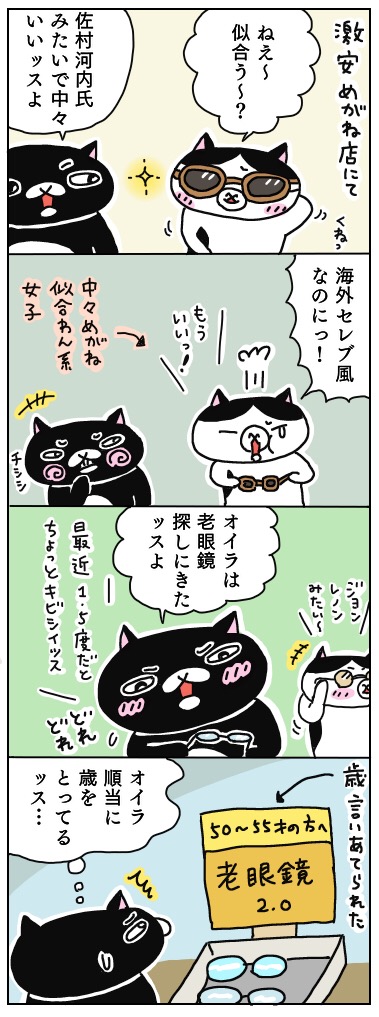 年の差猫夫婦マンガ