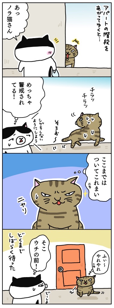 年の差猫夫婦マンガ