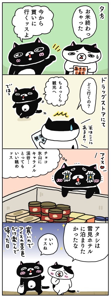 お米を買いに、ドラッグストアへ行った夜。 年の差猫夫婦マンガ