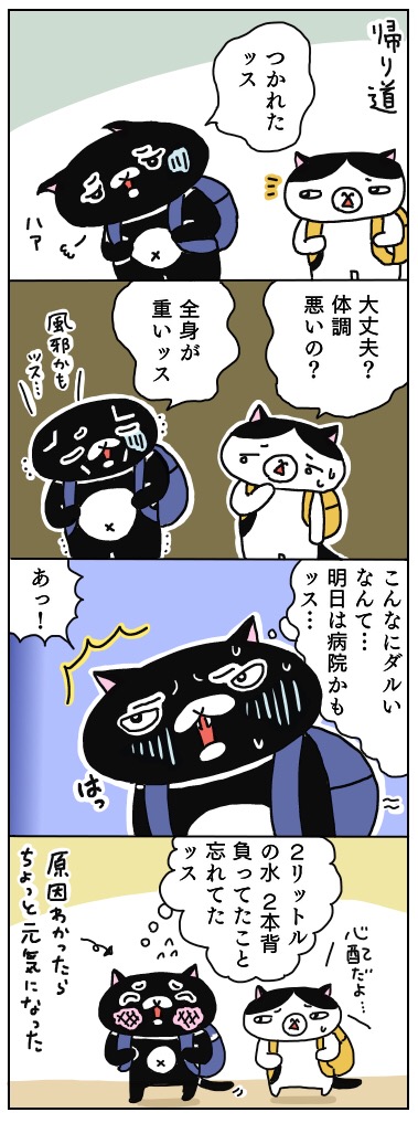 年の差猫夫婦マンガ