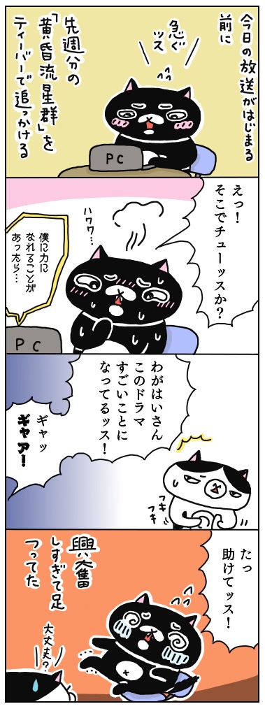 年の差猫夫婦マンガ