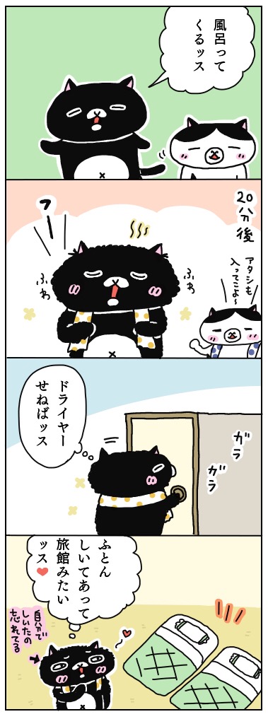 年の差猫夫婦マンガ