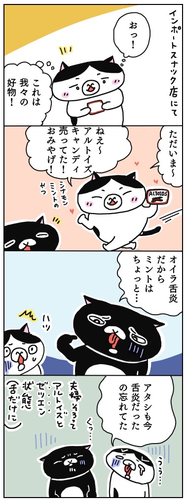 年の差猫夫婦マンガ