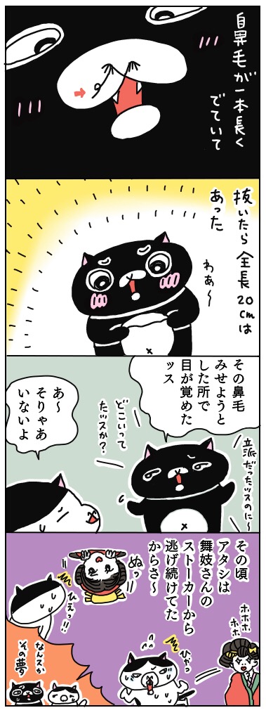 年の差猫夫婦マンガ