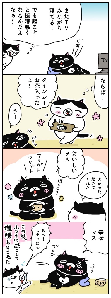 年の差猫夫婦マンガ