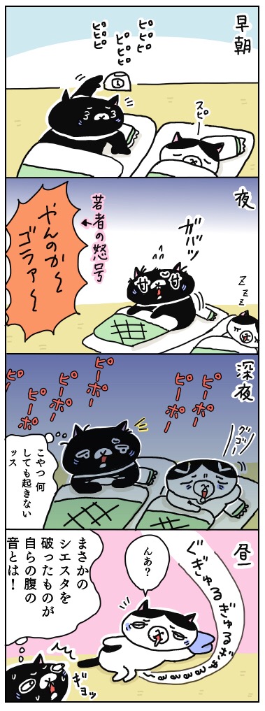 f:id:kengaishoten:20190205214243j:plain