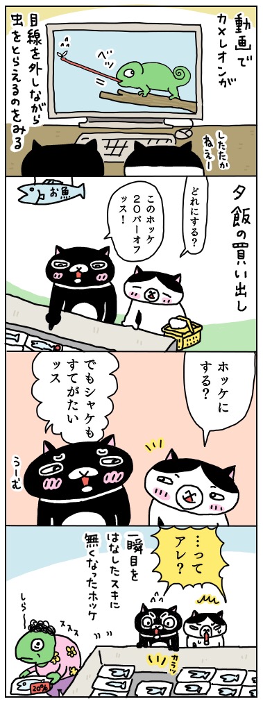 年の差猫夫婦マンガ