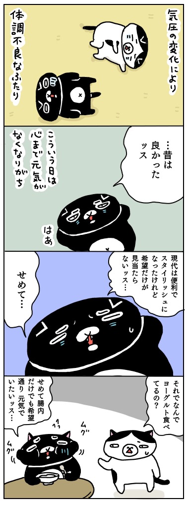 f:id:kengaishoten:20190305215544j:plain