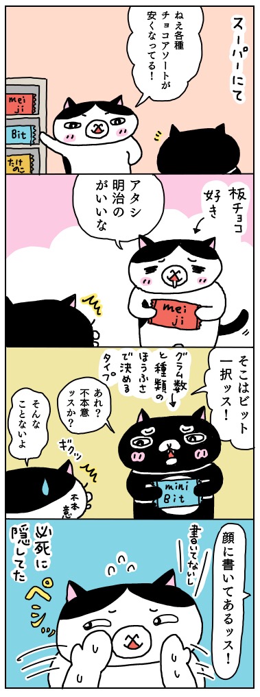 年の差猫夫婦マンガ