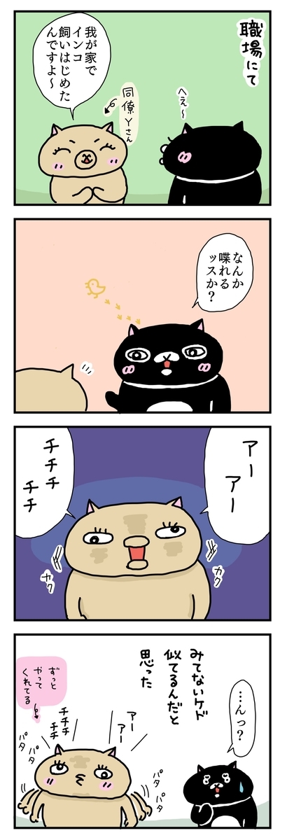 f:id:kengaishoten:20200425175328j:plain