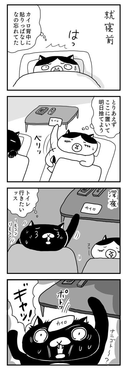 f:id:kengaishoten:20210203225101j:plain