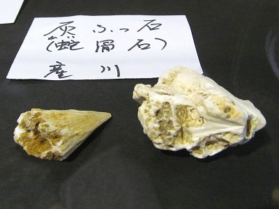 イメージ 2