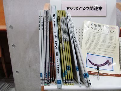 イメージ 2