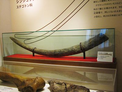 イメージ 3