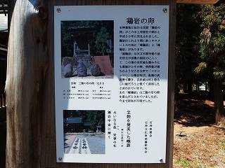 イメージ 3