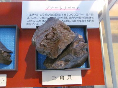 イメージ 4