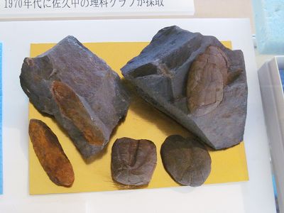 イメージ 6