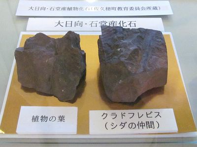 イメージ 8