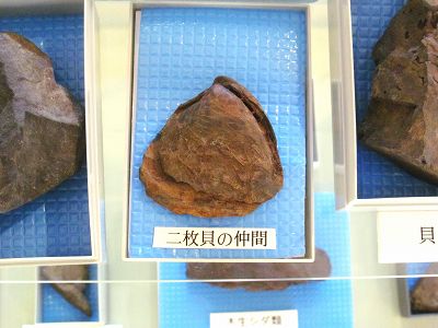 イメージ 10