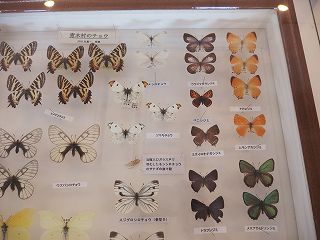 イメージ 4
