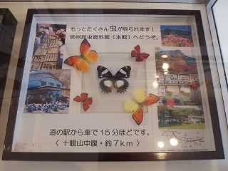 イメージ 5
