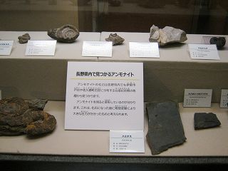 イメージ 8