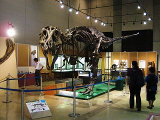 イメージ 10