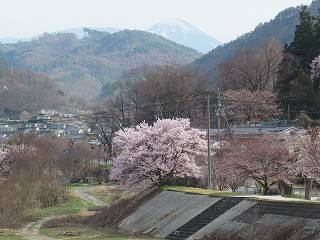 イメージ 1