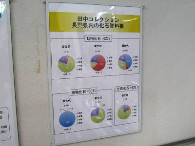 イメージ 9