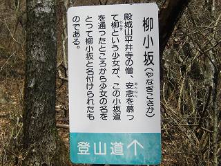 イメージ 10