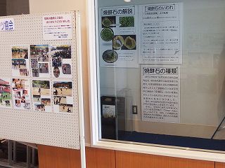 イメージ 4