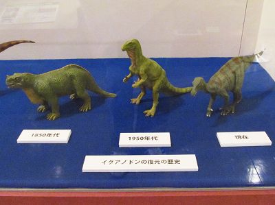 イメージ 5