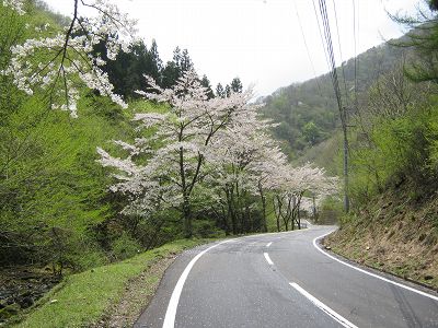イメージ 3