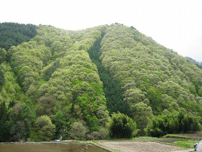 イメージ 4