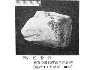 蛇骨石