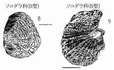 イメージ 2
