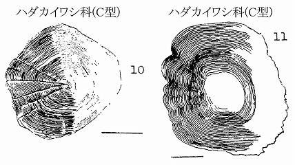 イメージ 4