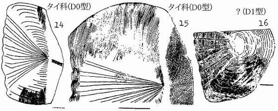 イメージ 6