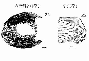 イメージ 8
