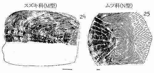 イメージ 9